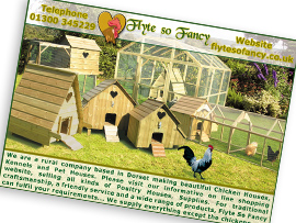 brochure and flyer design winchester