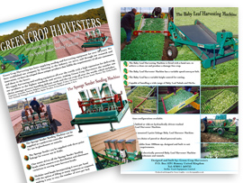 brochure flyer design romsey