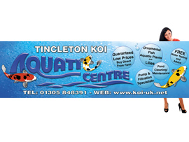 pvc vinyl banner design dorset